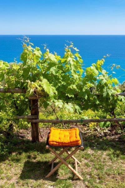 Agriturismo La Selva Otel Finale Ligure Dış mekan fotoğraf