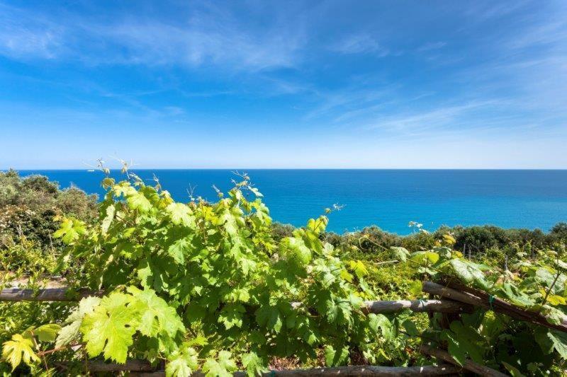 Agriturismo La Selva Otel Finale Ligure Dış mekan fotoğraf