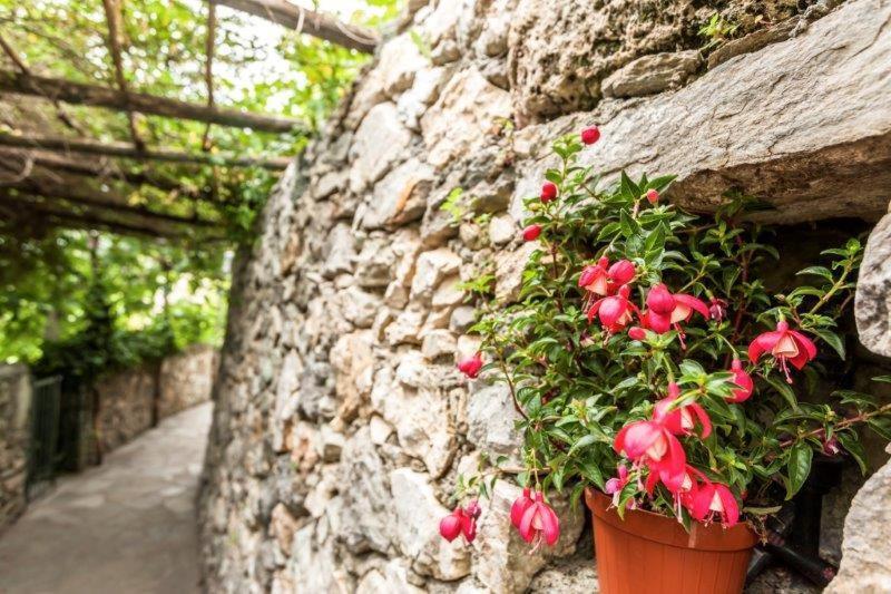 Agriturismo La Selva Otel Finale Ligure Dış mekan fotoğraf