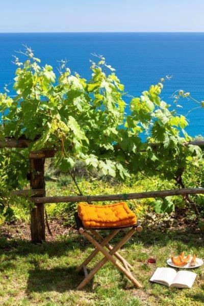 Agriturismo La Selva Otel Finale Ligure Dış mekan fotoğraf