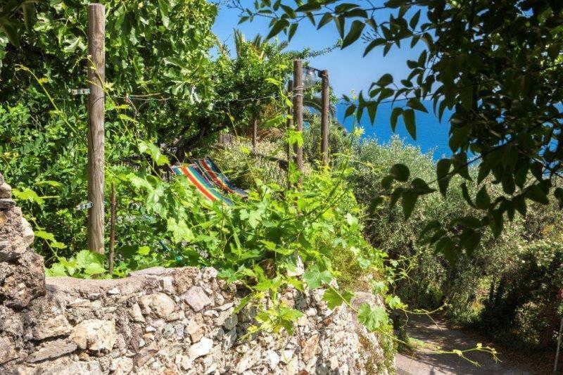 Agriturismo La Selva Otel Finale Ligure Dış mekan fotoğraf