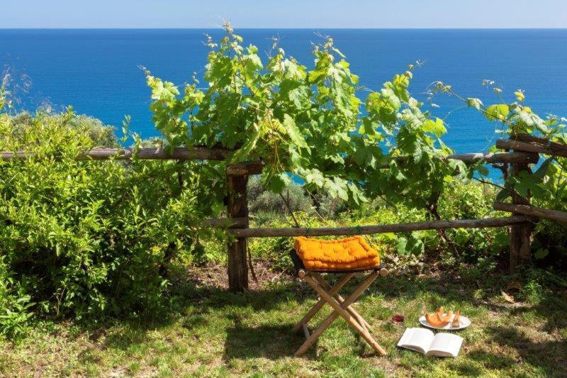 Agriturismo La Selva Otel Finale Ligure Dış mekan fotoğraf