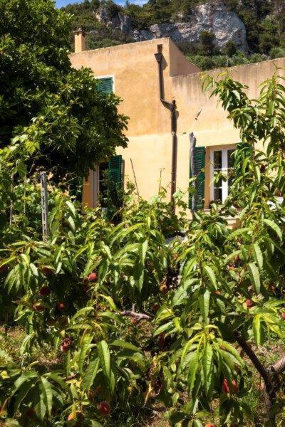 Agriturismo La Selva Otel Finale Ligure Dış mekan fotoğraf