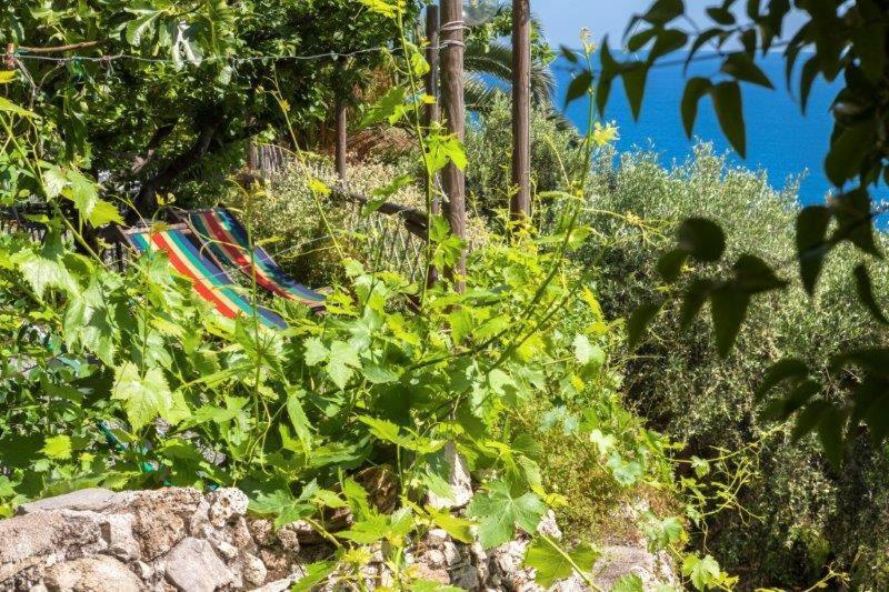 Agriturismo La Selva Otel Finale Ligure Dış mekan fotoğraf