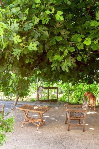 Agriturismo La Selva Otel Finale Ligure Dış mekan fotoğraf
